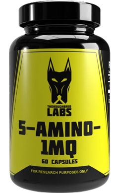 thoroughbred labs 5-amino-1mq